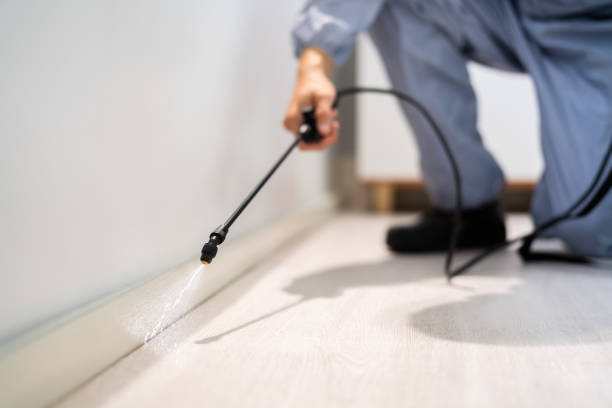 Rodent Entry Point Assessment in Bernalillo