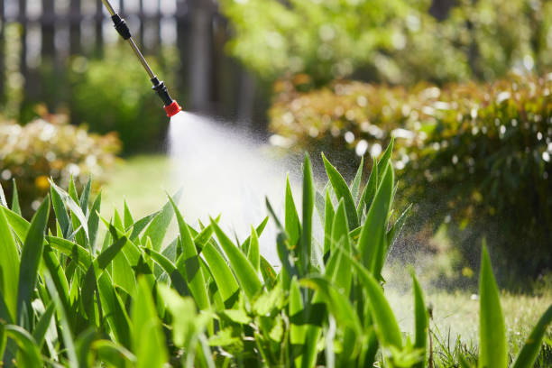 Tamper-Resistant Bait Stations for Rodents in Bernalillo