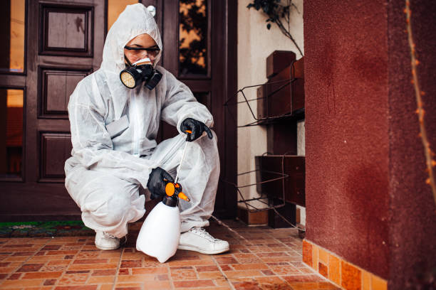 Attic and Crawl Space Rodent Treatment in Bernalillo